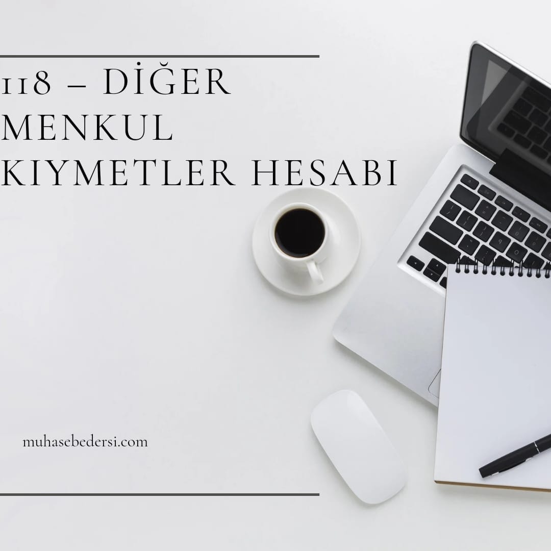 118 DİĞER MENKUL KIYMETLER HESABI