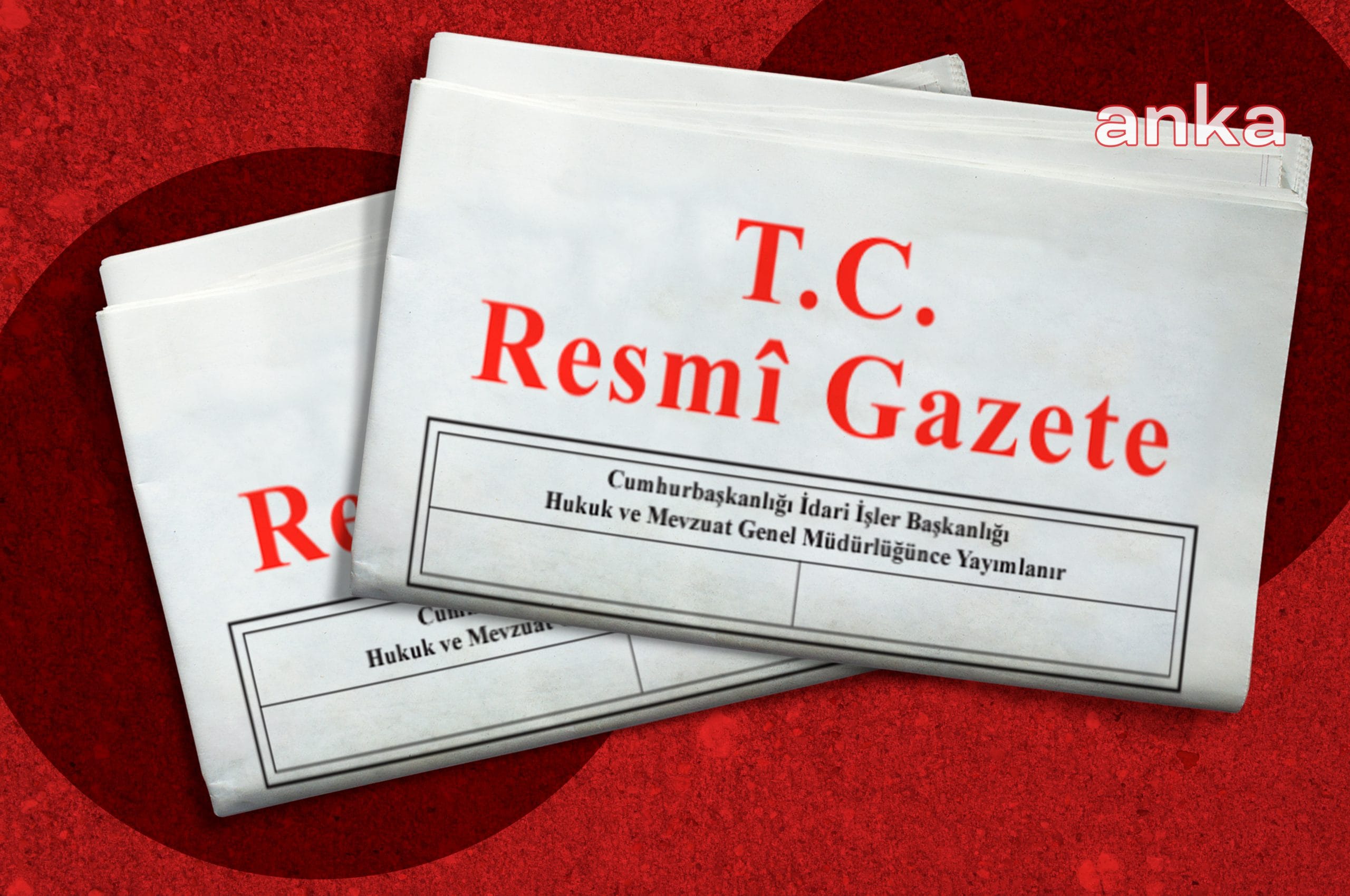 Bazı yükseköğretim kurumlarına ait öğretim elemanı kadrolarında değişiklik yapılması hakkında karar Resmi Gazete’de yayımlandı